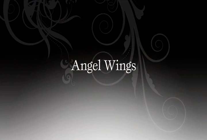 12-blissology-angel-wings