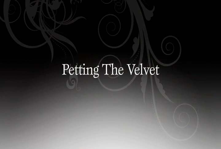 Petting the Velvet