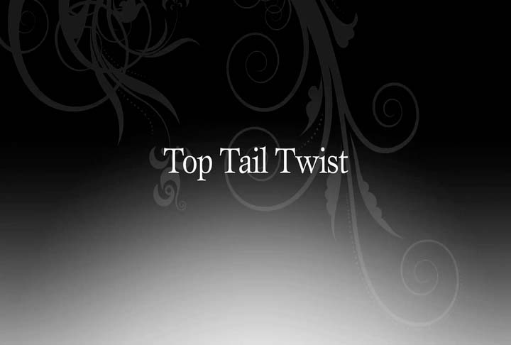 Top Tail Twist